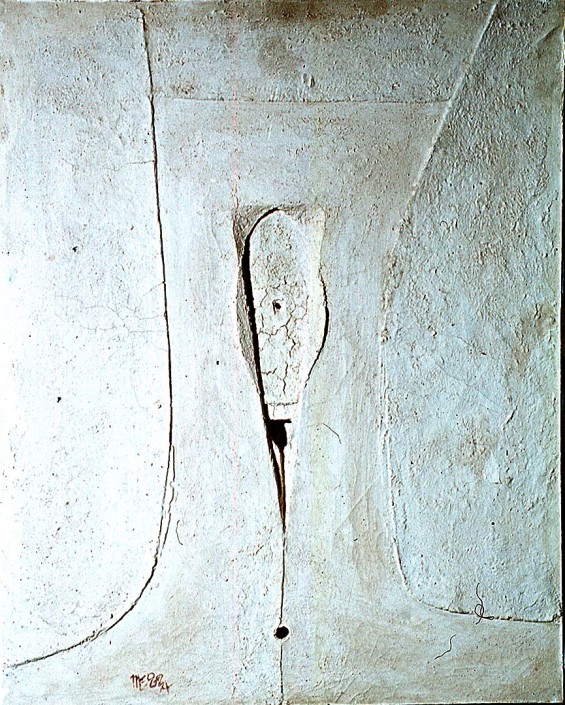 Vulva